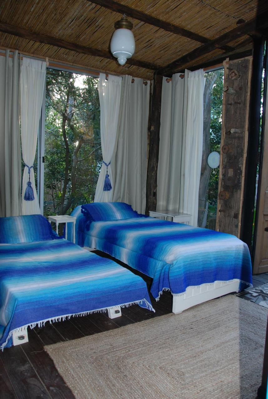 Villa La Escondida à Punta del Este Extérieur photo